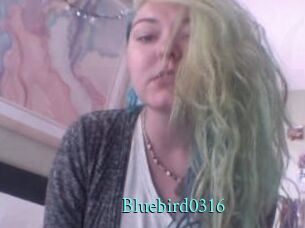 Bluebird0316