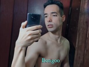bongoo xxx Fantasy Land