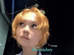 bonniehey xxx Fantasy Land