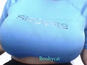 Boobycat