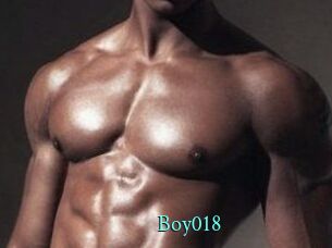 boy018 xxx Fantasy Land