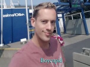 Boycupid