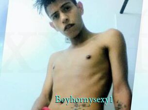 Boyhornysexy1