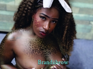 Brandiibrow