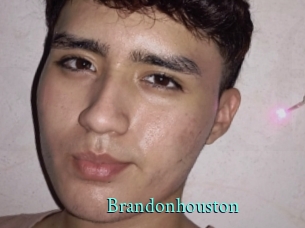 brandonhouston xxx Fantasy Land