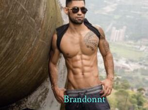 brandonnt xxx Fantasy Land