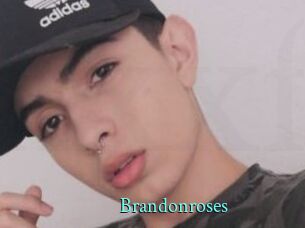 Brandonroses