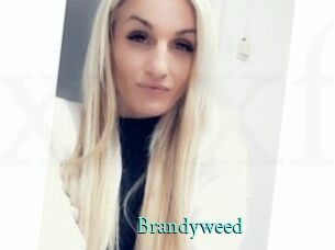 Brandyweed