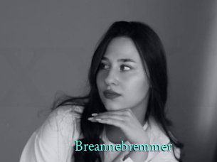 Breannebremmer