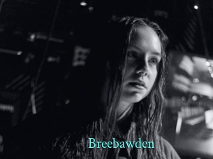 breebawden xxx Fantasy Land