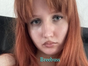 Breebuss