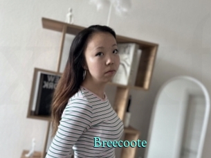 Breecoote