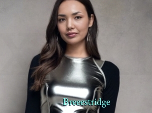 Breeestridge