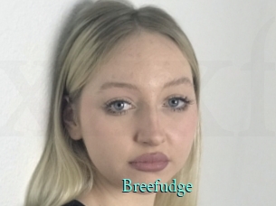 Breefudge