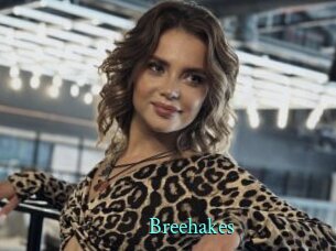 Breehakes