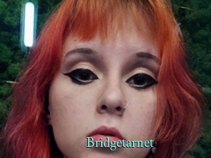 Bridgetarnet