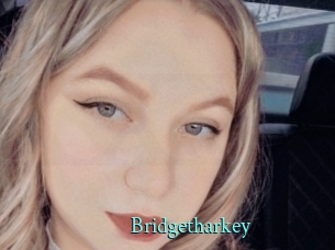 Bridgetharkey