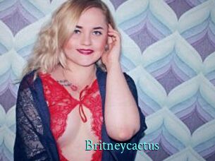 Britneycactus
