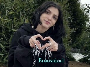Broosnica1