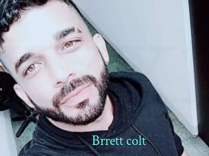 Brrett_colt