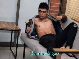 Brunhosbigass
