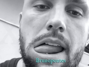 Brunopontes
