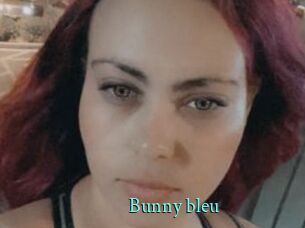 Bunny_bleu