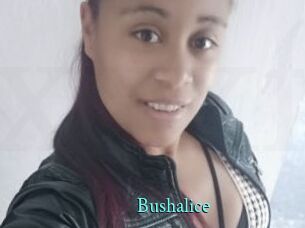 Bushalice