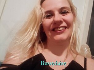 Bussydaisy