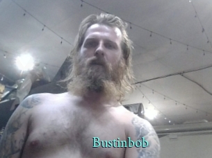 Bustinbob