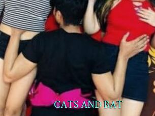 CATS_AND_BAT