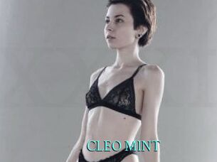 CLEO_MINT