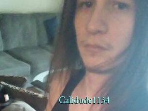 Calidude1134