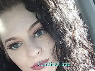 Candice_Cane
