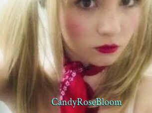 CandyRoseBloom