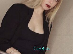 CariBois