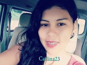 Carlina23