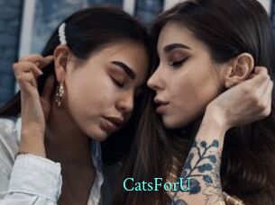 CatsForU