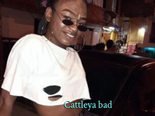 Cattleya_bad