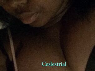 Ceslestrial