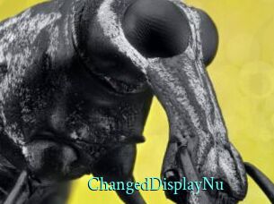 ChangedDisplayNu