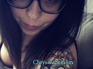 Chrys4nthemum