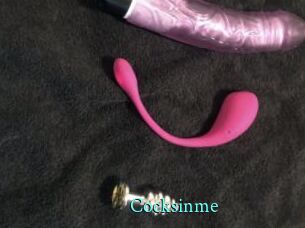 Cocksinme