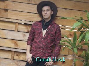Conall_Hawk