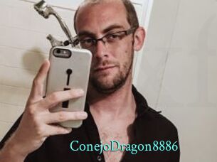 ConejoDragon8886