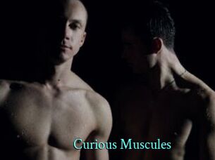 Curious_Muscules