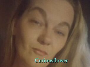 Curiousflower