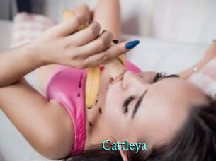 _Cattleya
