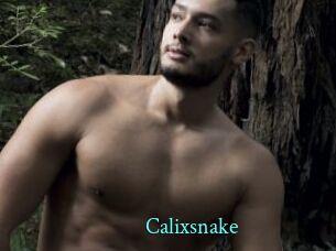 Calixsnake