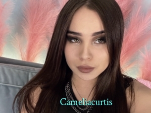 Cameliacurtis